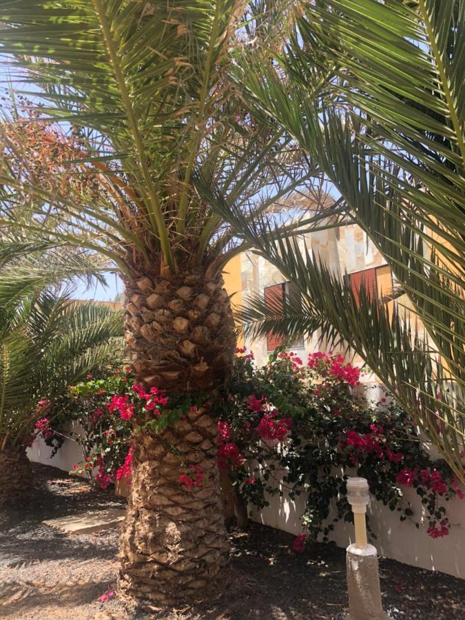 Apartamento Le Soleil De Fuerteventura Costa De Antigua Buitenkant foto